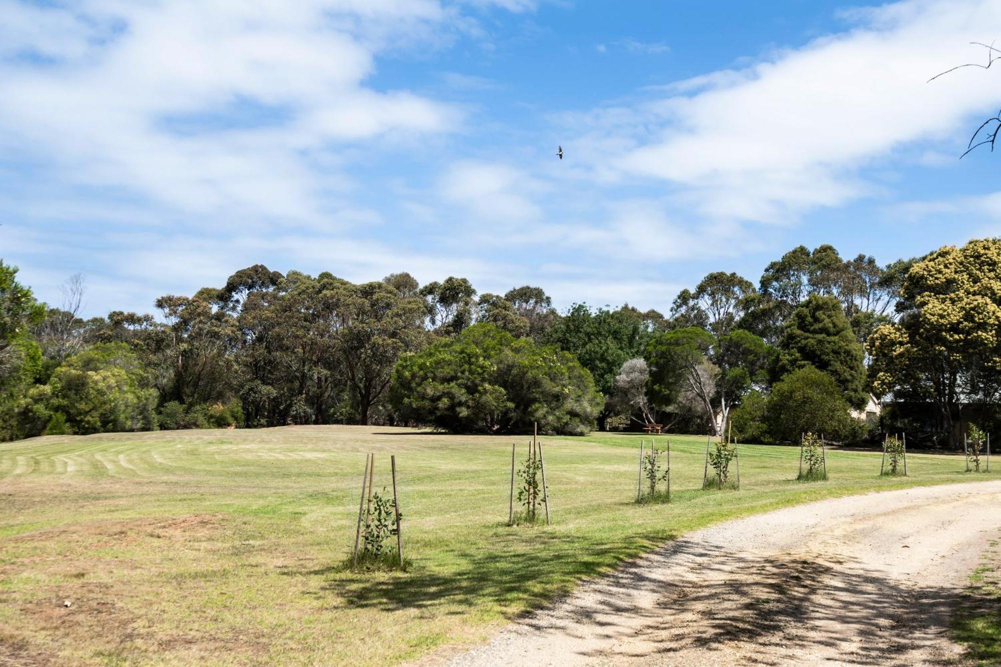 Bells Beach Cottages Bellbrae Eksteriør bilde
