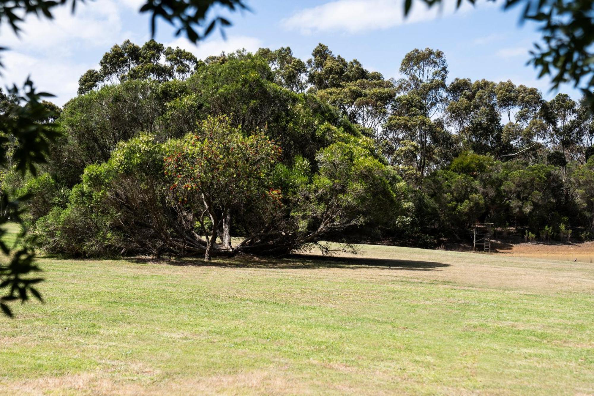 Bells Beach Cottages Bellbrae Eksteriør bilde