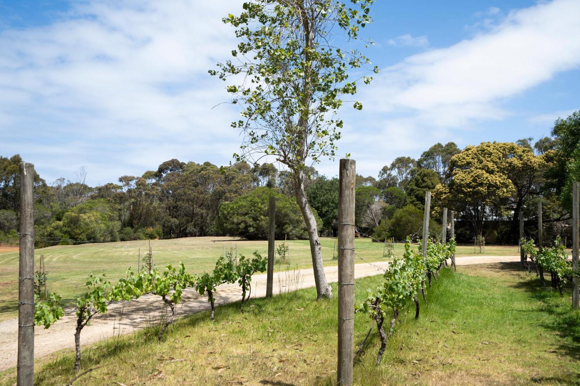 Bells Beach Cottages Bellbrae Eksteriør bilde